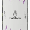Bataleon Minishred Snowboard