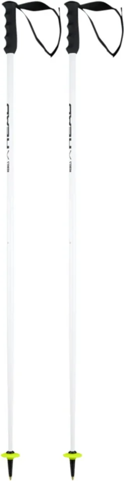 Head Worldcup SL Skistokken