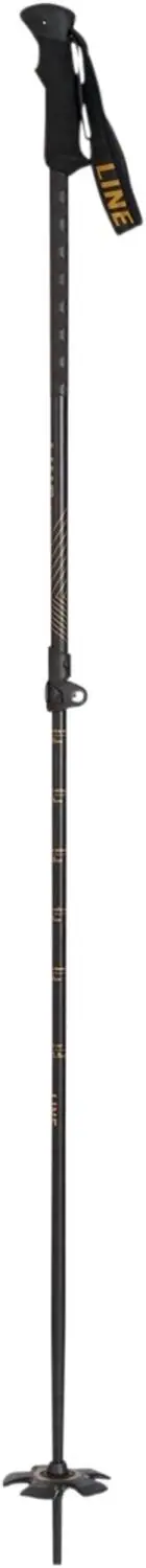 LINE Vision Adjustable Ski Poles