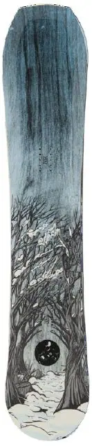 Yes! Hybrid Snowboard